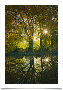 12 - Autumn - Chris Beesley
